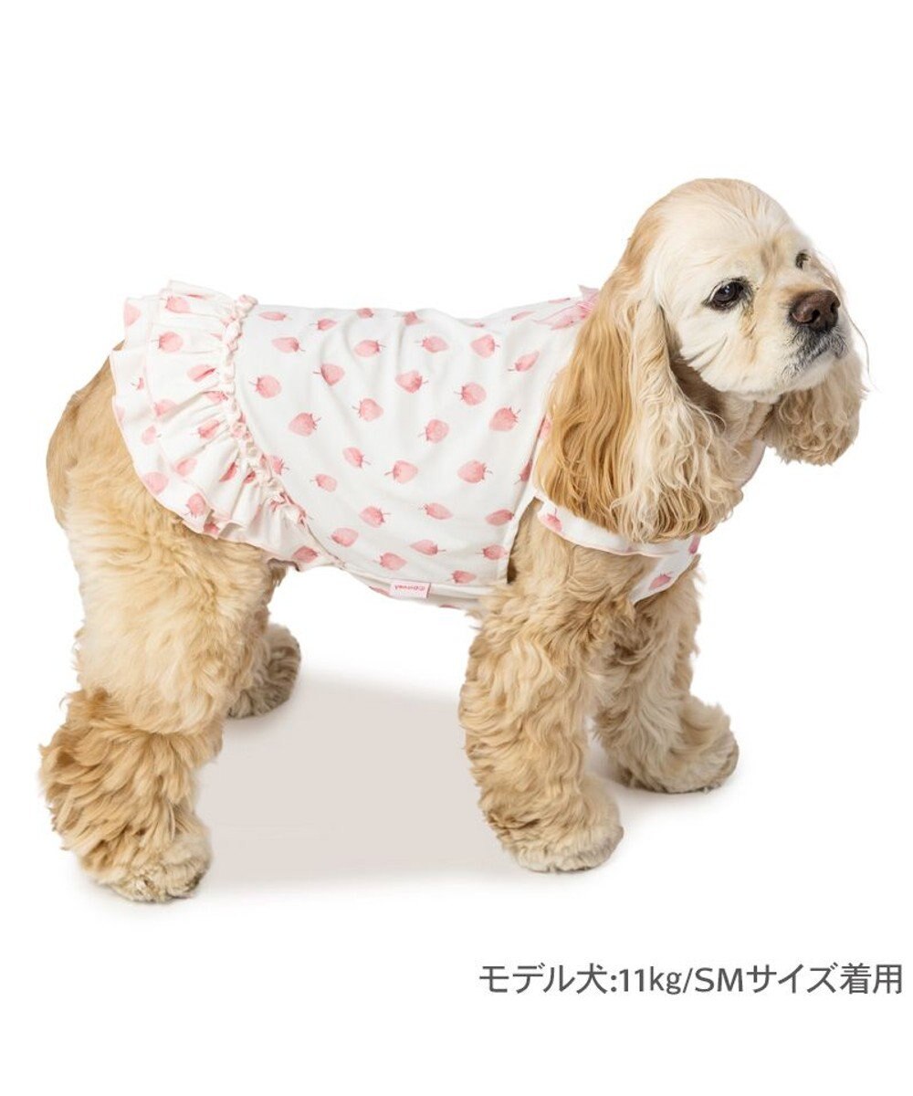 PET PARADISE ペットパラダイス タッチワンクールプラス Tシャツ 《いちご》 中型犬 大型犬 