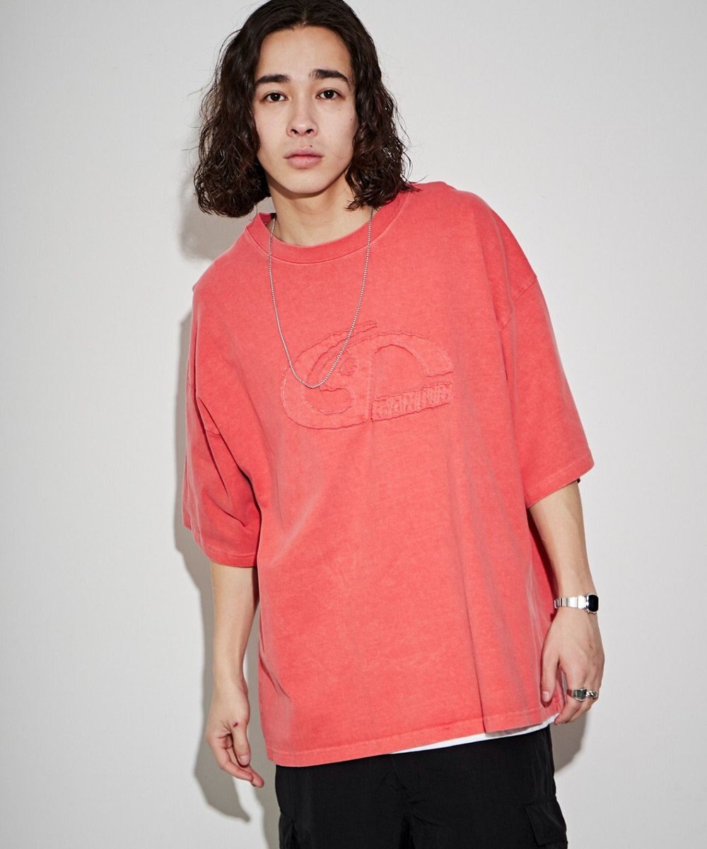 WEGO ピグメントダメージアップリケT（S） 