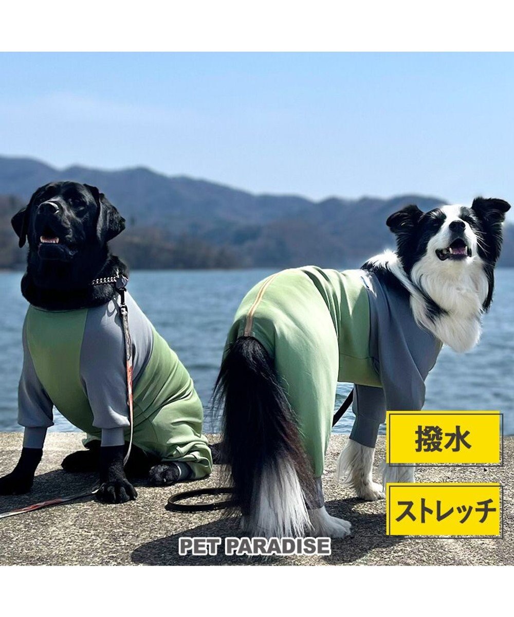 堅実な究極の 再入荷 大人気‼︎ 犬用服 肉球モチーフ ブラック 春夏用
