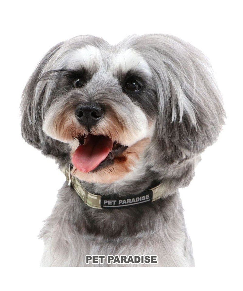 犬 首輪 ｓｓ デジカモ 小型犬 迷彩 おさんぽ おでかけ お出掛け おしゃれ オシャレ かわいい Pet Paradise ファッション通販 公式通販 オンワード クローゼット