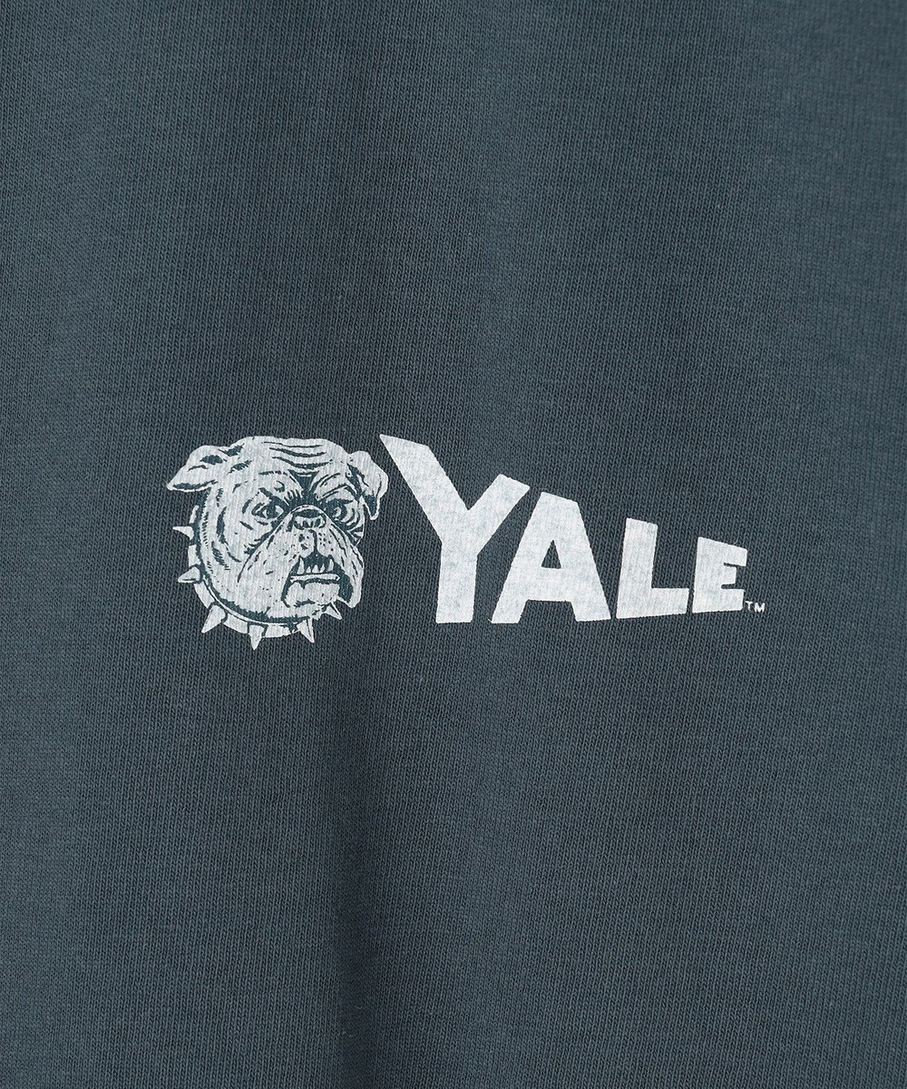 J.PRESS YORK STREET 【UNISEX】YALEペナント Tシャツ 