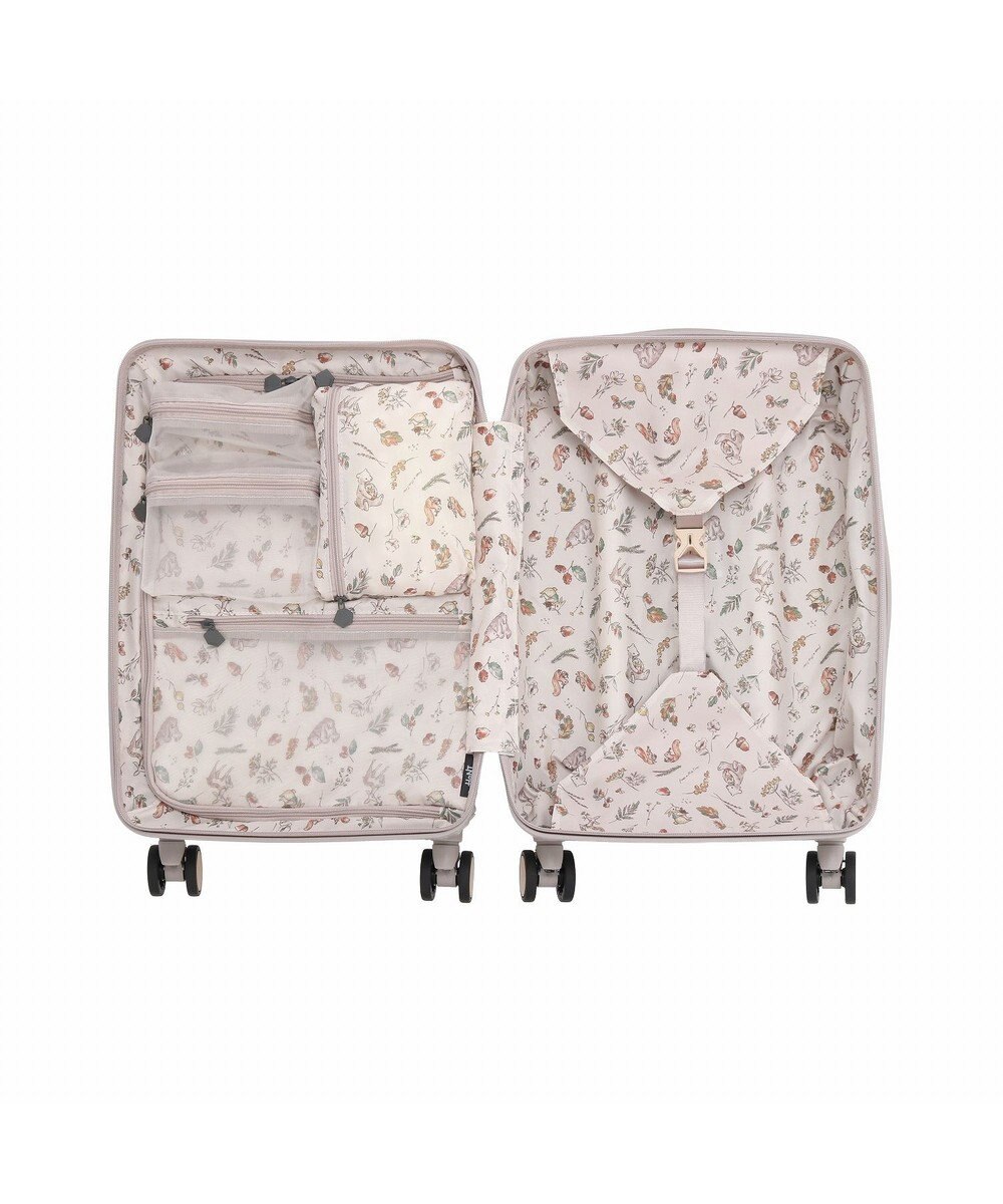 ACE BAGS & LUGGAGE HaNT ヘイヘイTR スーツケース 40L 機内持込  05180 ハント 