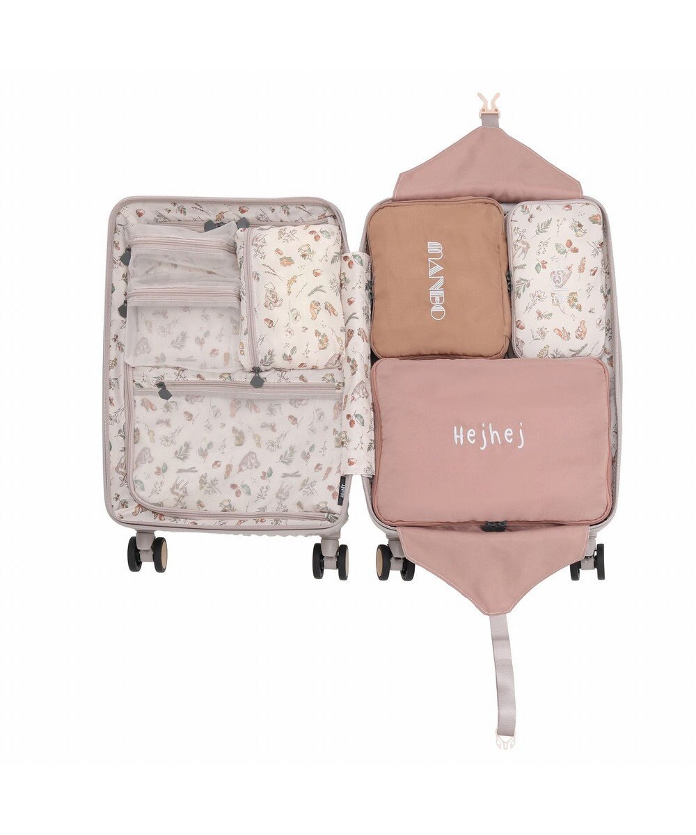 ACE BAGS & LUGGAGE HaNT ヘイヘイTR スーツケース 40L 機内持込  05180 ハント 