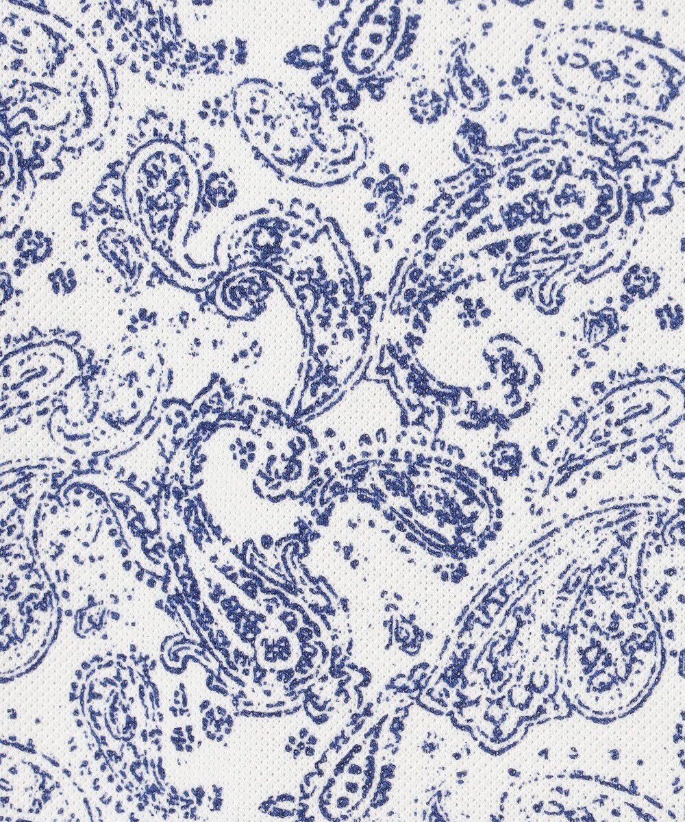 JOSEPH ABBOUD 【日本製ジャージー使用・清涼感・イージーケア】シャンブレー ペイズリープリント シャツ 