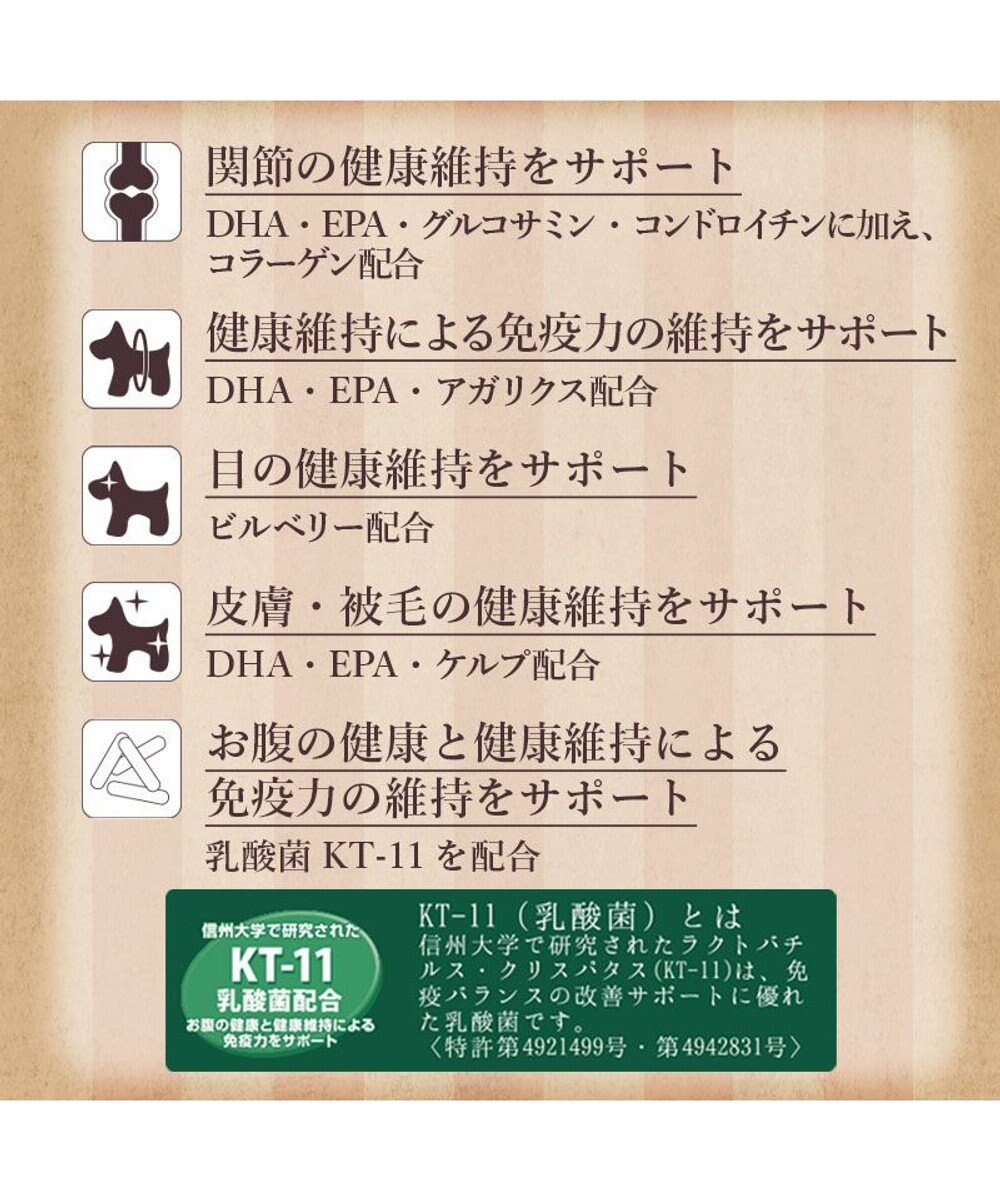 PET PARADISE ビオキッチン エイジングネオ ５００ｇ 