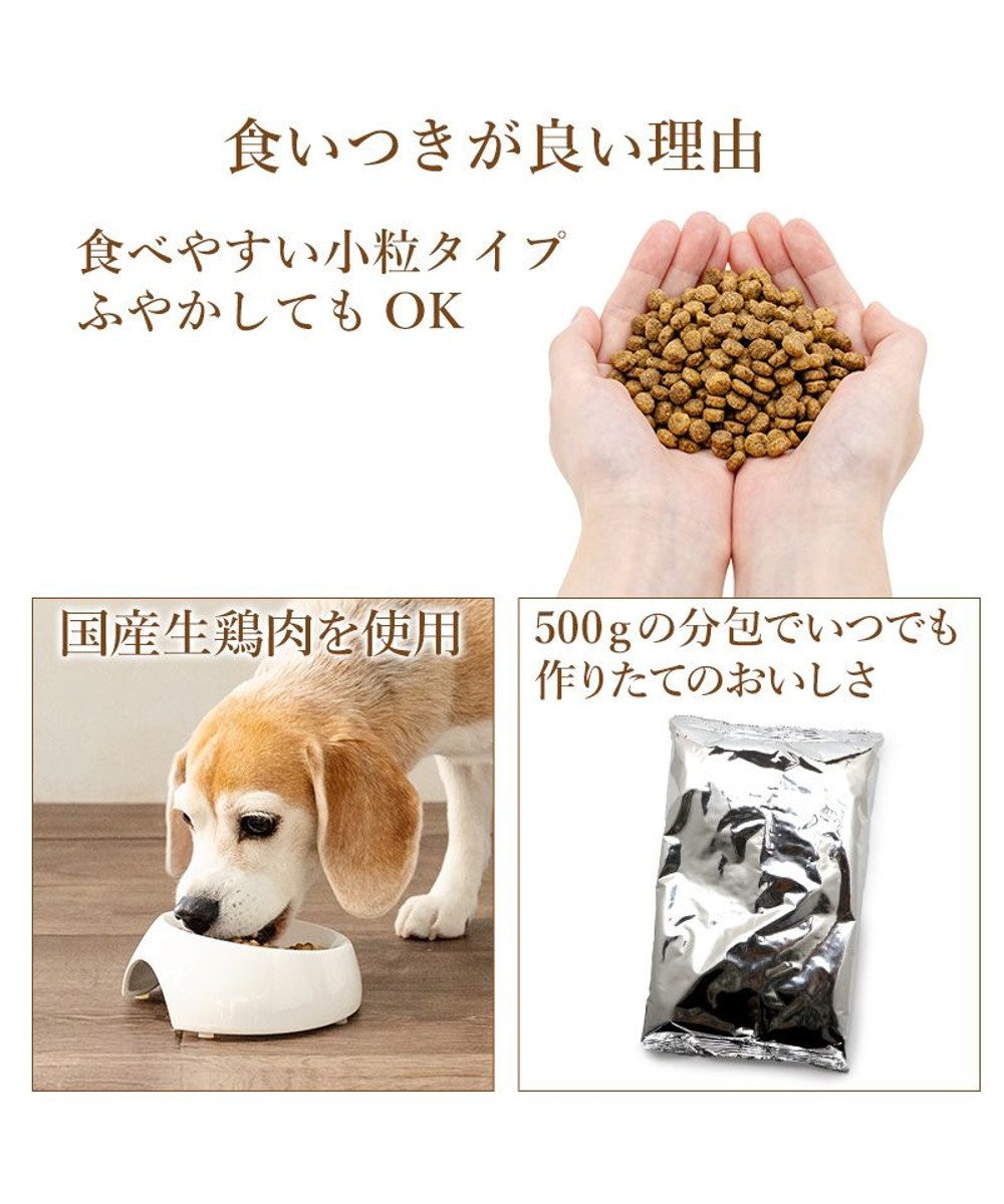 PET PARADISE ビオキッチン エイジングネオ ５００ｇ 