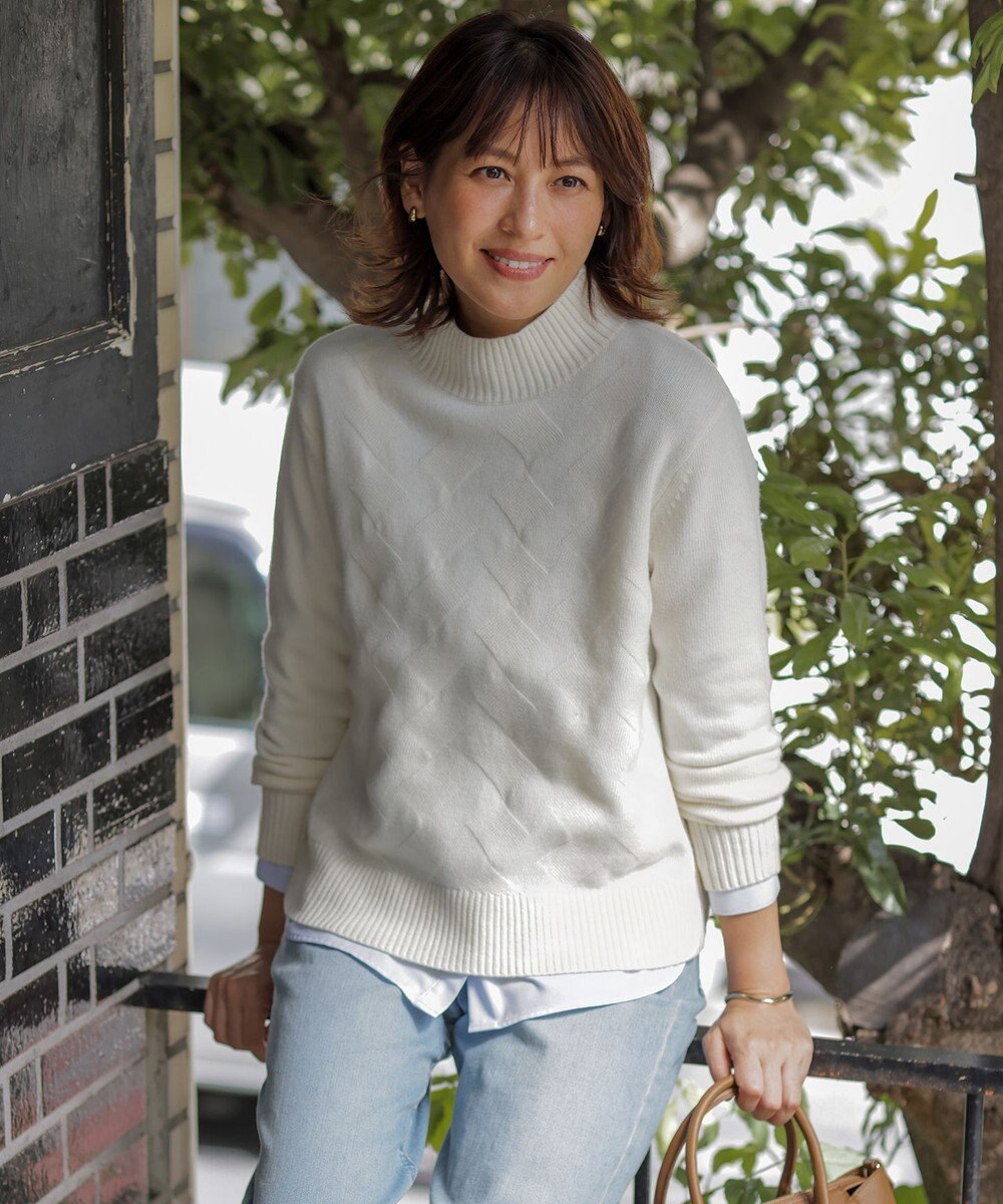 J.PRESS LADIES L 【WEB限定カラーあり】CAT ハイネック ニット 