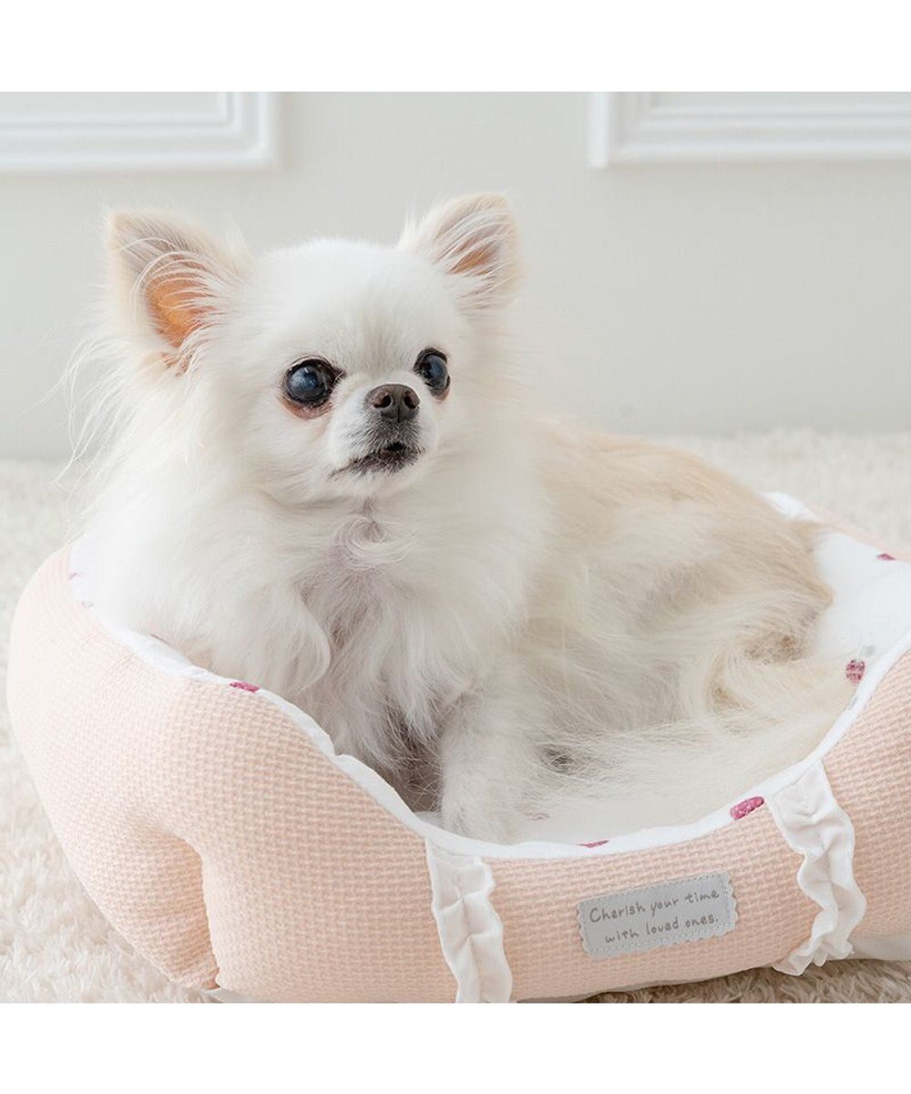 PET PARADISE ペットパラダイス いちご フリルカドラー S 38×32cm 