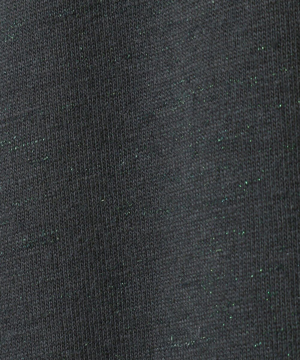 CRAFT STANDARD BOUTIQUE ラメ天竺フォトプリントロンTEE 