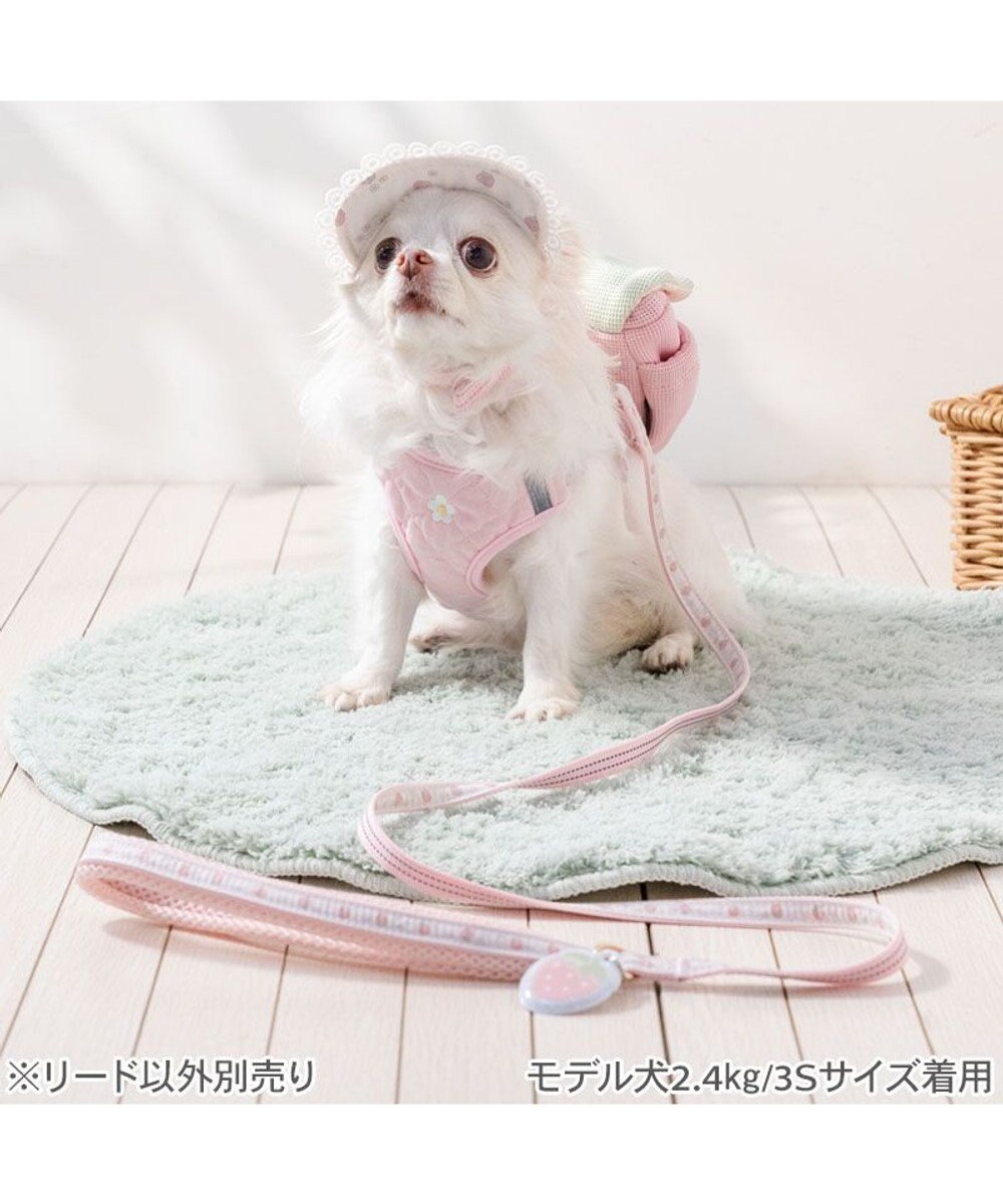 PET PARADISE ペットパラダイス 花苺柄 リード ＳＳ～Ｓ 