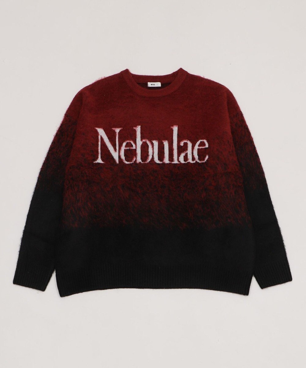 WEGO 【ユニセックス着用ITEM/MLサイズ展開】ファジーグラデーションプルオーバー 