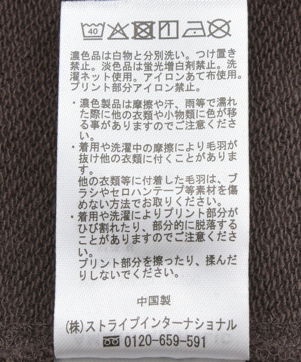 AMERICAN HOLIC 【WEB限定】BRUNSWICK GEORGIA BIGスウェット 