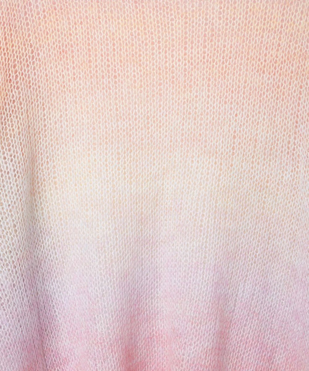 WEGO グラデーションメッシュニット 