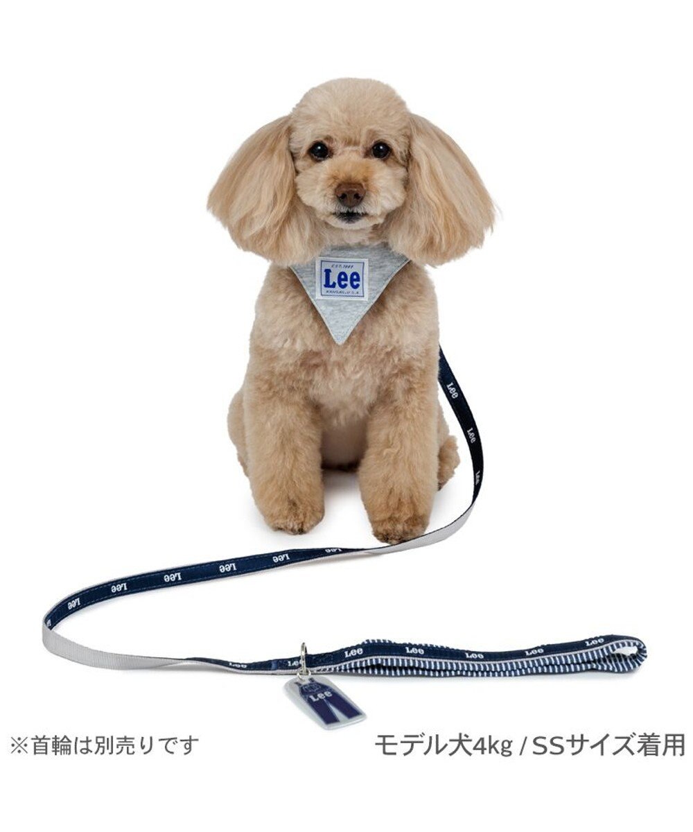 PET PARADISE Lee リフレクターリード ＳＳ～Ｓ 
