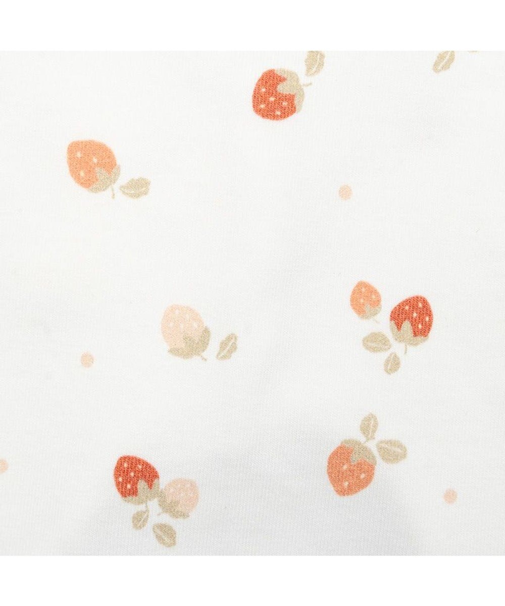 PET PARADISE ペットパラダイス ペティヒート 天竺 腹巻 《いちご柄》 小型犬 