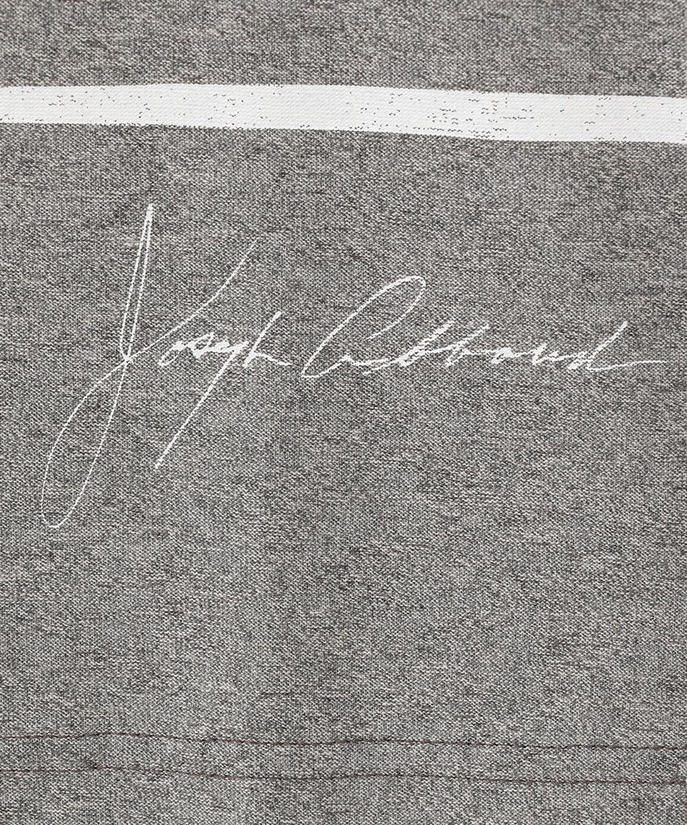 JOSEPH ABBOUD MOUNTAIN 【SPACE／UNISEX】スラブプレーティングボーダープリント Tシャツ 