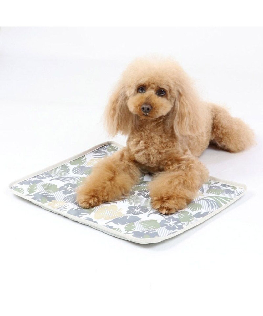 PET PARADISE 犬 春夏 クール 接触冷感 マット (44×35cm) ボタニカル柄 ジェルマット 