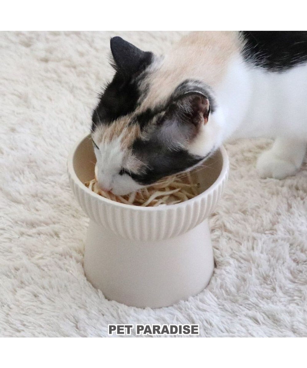 猫 フードボウル 陶器 斜め ホワイト ベージュ / PET PARADISE