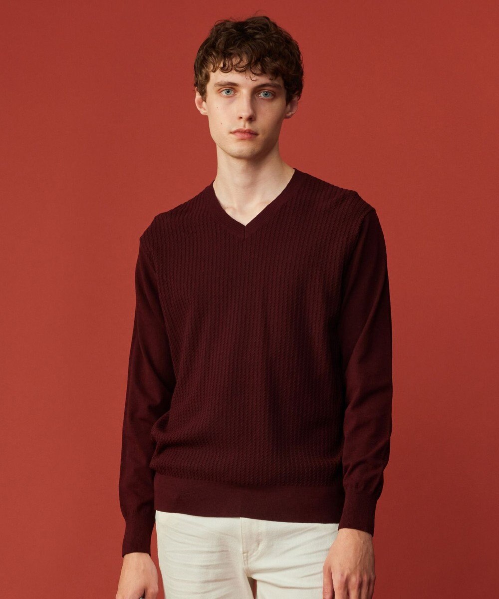 JOSEPH ABBOUD 【キングサイズ・洗える/チクチクしない/3シーズン対応】SNOWY Vネック  ニット 