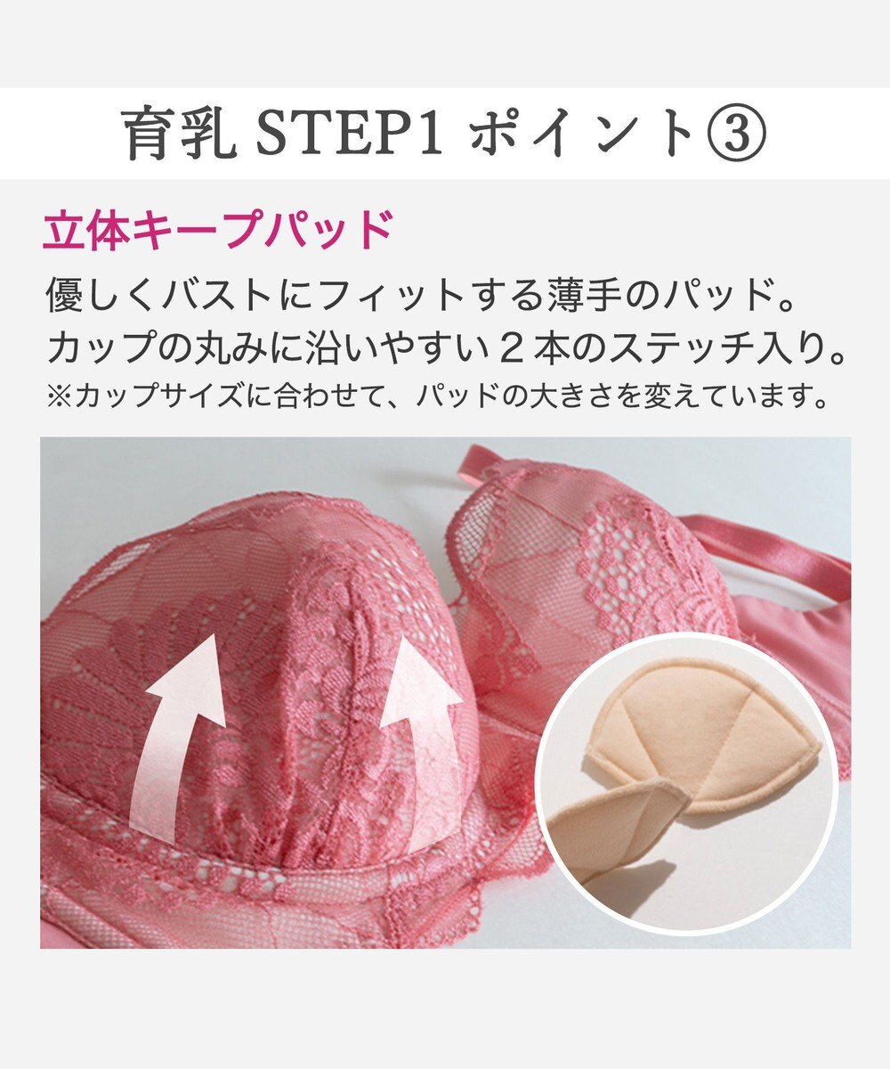 BRADELIS New York 【BRADELIS New York / 育乳補整ブラ・STEP1 集める】ウェンディソフトステップ1ブラ26S1 