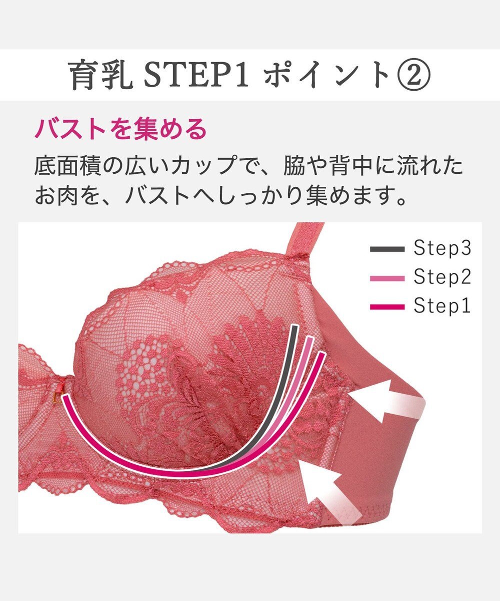 BRADELIS New York 【BRADELIS New York / 育乳補整ブラ・STEP1 集める】ウェンディソフトステップ1ブラ26S1 