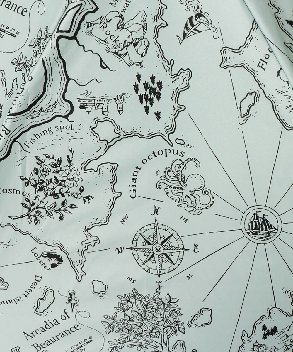 AURORA Beaurance （ビューランス）プリント晴雨兼用傘（2段折り畳み・トップフラット） 