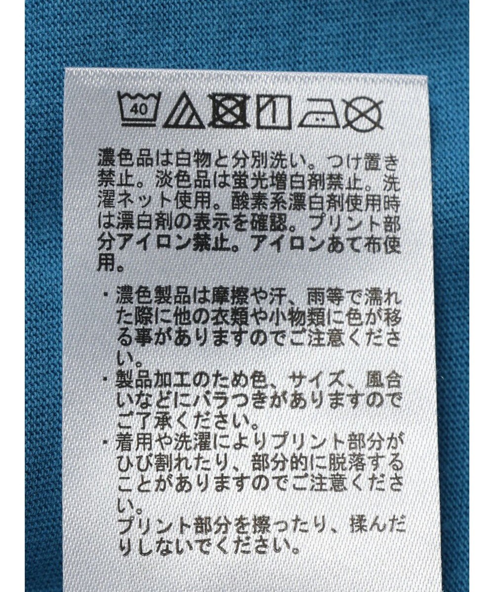 AMERICAN HOLIC ＰＯＲＴＬＡＮＤロゴカットプルオーバー 