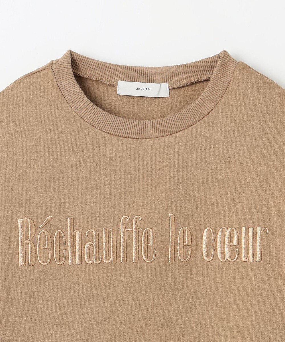 ANY L 【洗濯機可】エンブロイダリーロゴダンボールプルオーバー 