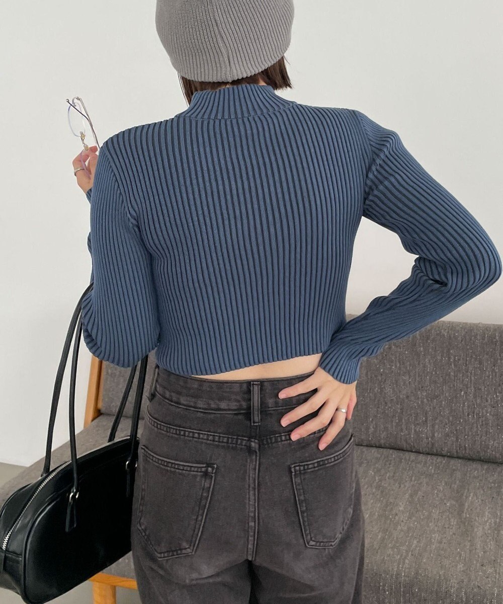 WEGO リブハイネックショートニット 