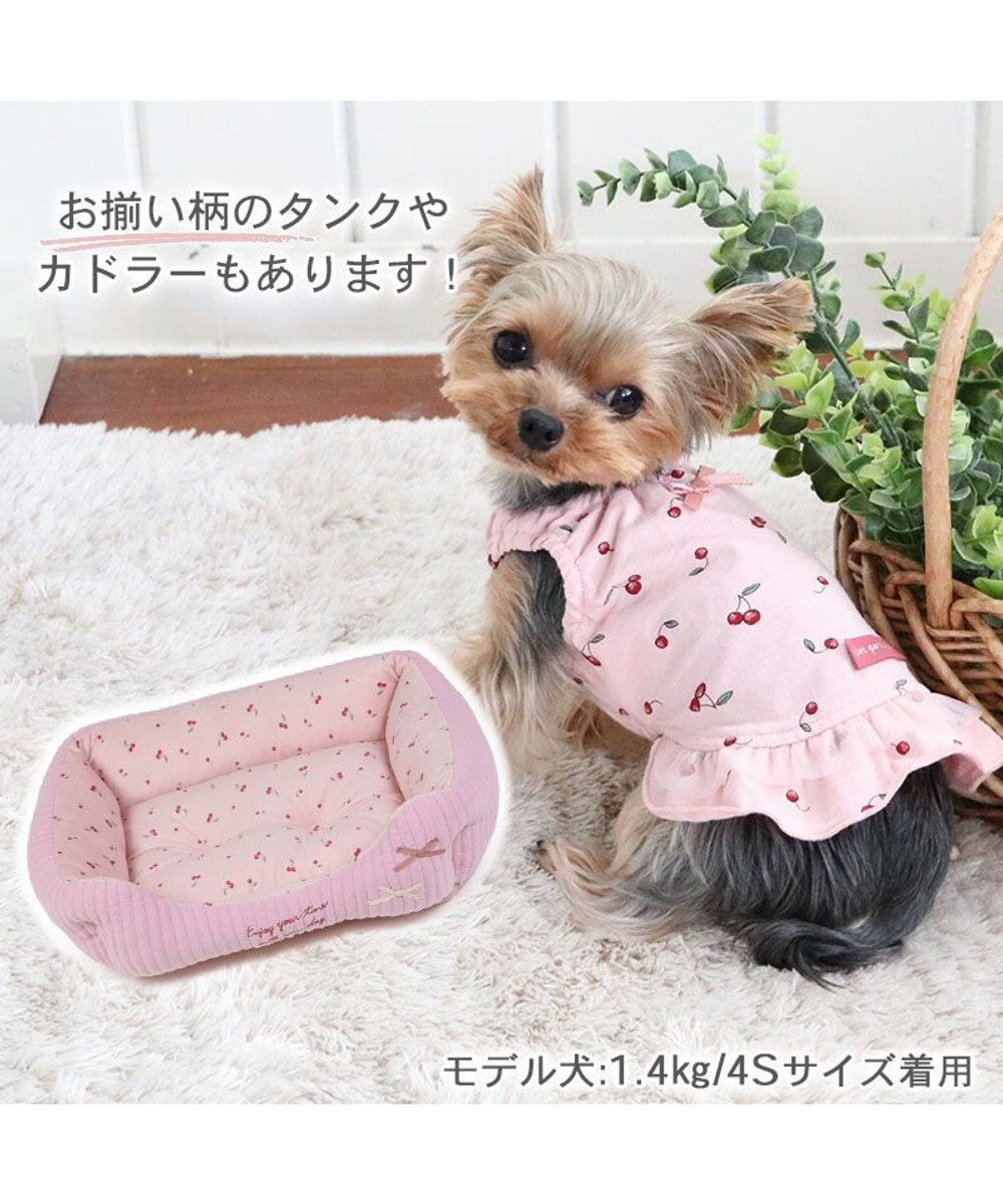 PET PARADISE 犬の服 犬 サニタリーパンツ 【小型犬】 チェリー柄 