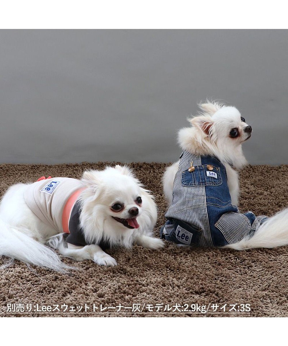 PET PARADISE Ｌｅｅ パッチワーク オーバーオール パンツつなぎ【小型犬】 