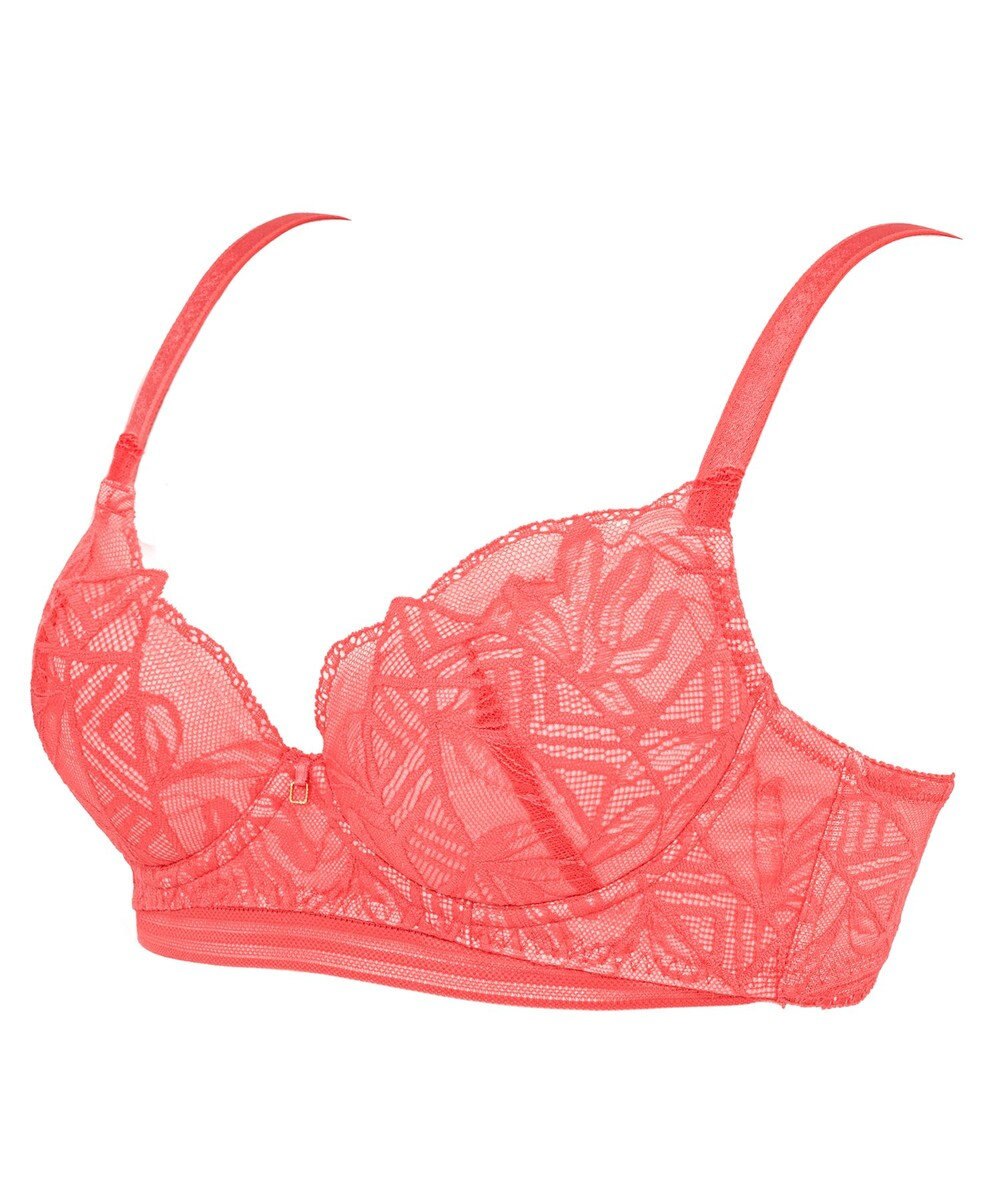 BRADELIS New York 【BRADELIS New York / 育乳補整ブラ・STEP1 集める】ウェンディステップ1ブラ25S1 