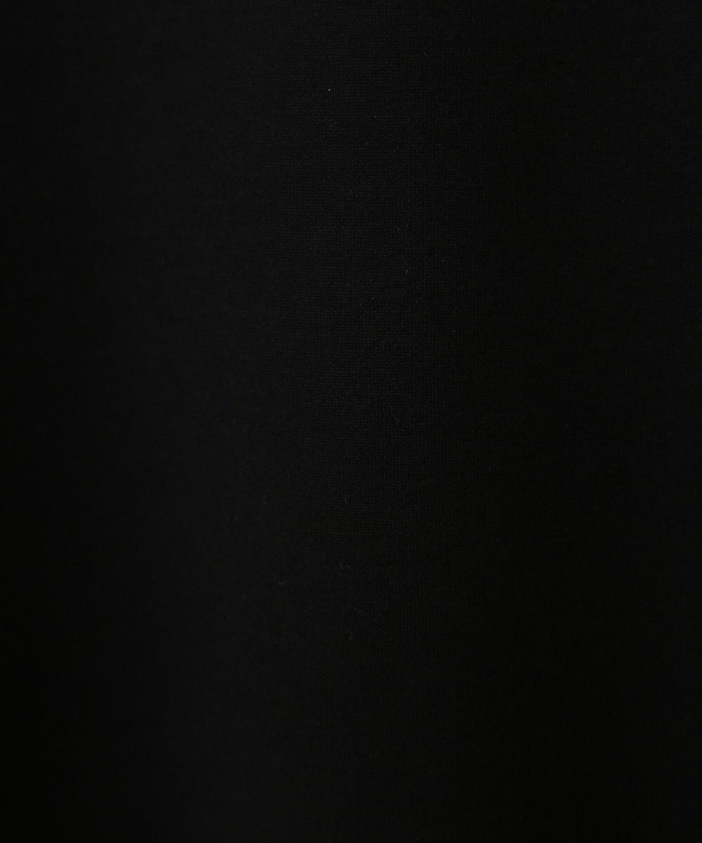 AMERICAN HOLIC 袖チュール重ねプルオーバー 