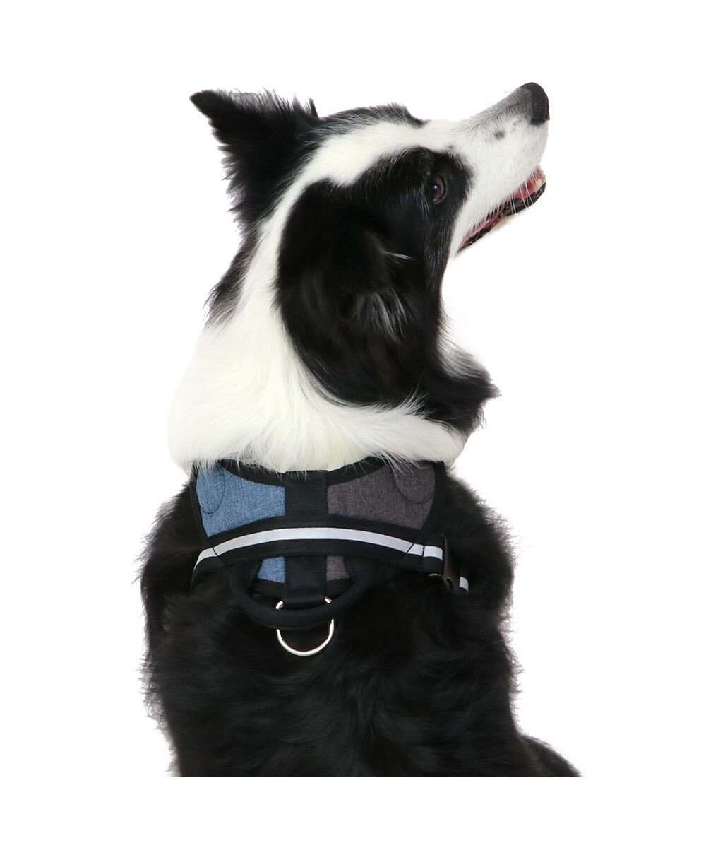 PET PARADISE ヘッドインハーネス  【Ｍ】オレンジ / ブルー 【中型犬 大型犬】 