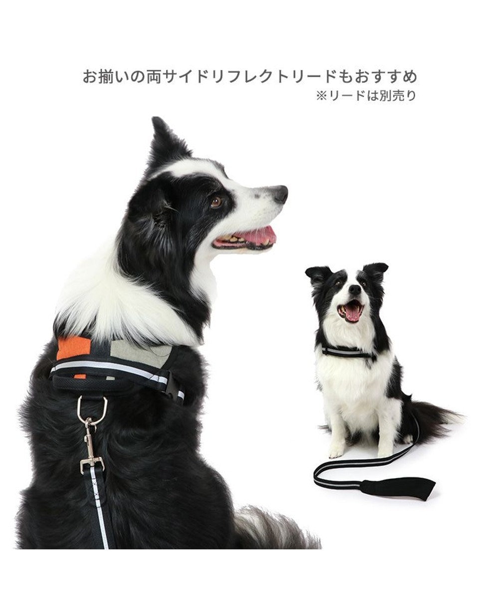 PET PARADISE ヘッドインハーネス  【Ｍ】オレンジ / ブルー 【中型犬 大型犬】 