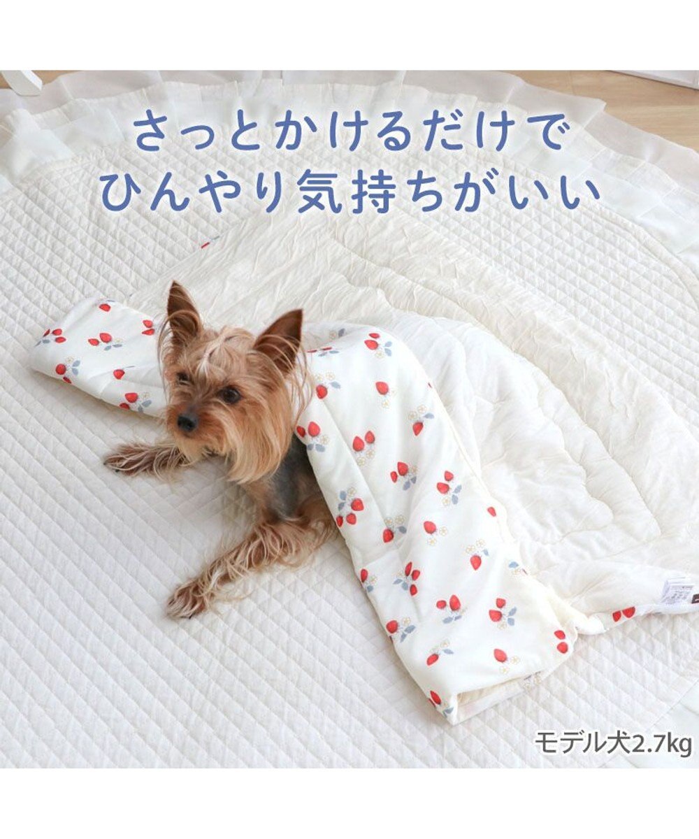 PET PARADISE ペットパラダイス もちっと クール ブランケット 《苺柄》 