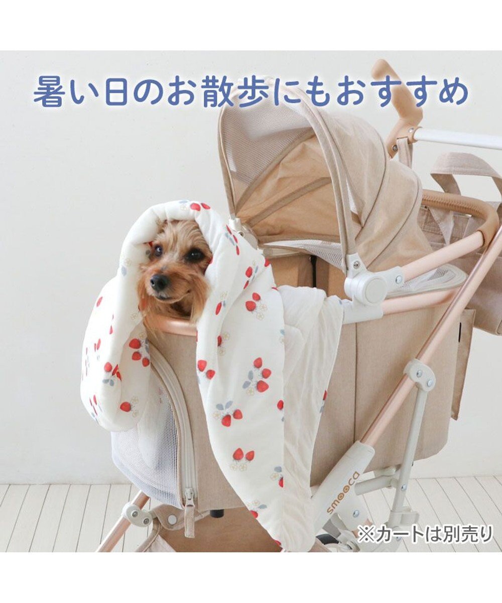 PET PARADISE ペットパラダイス もちっと クール ブランケット 《苺柄》 