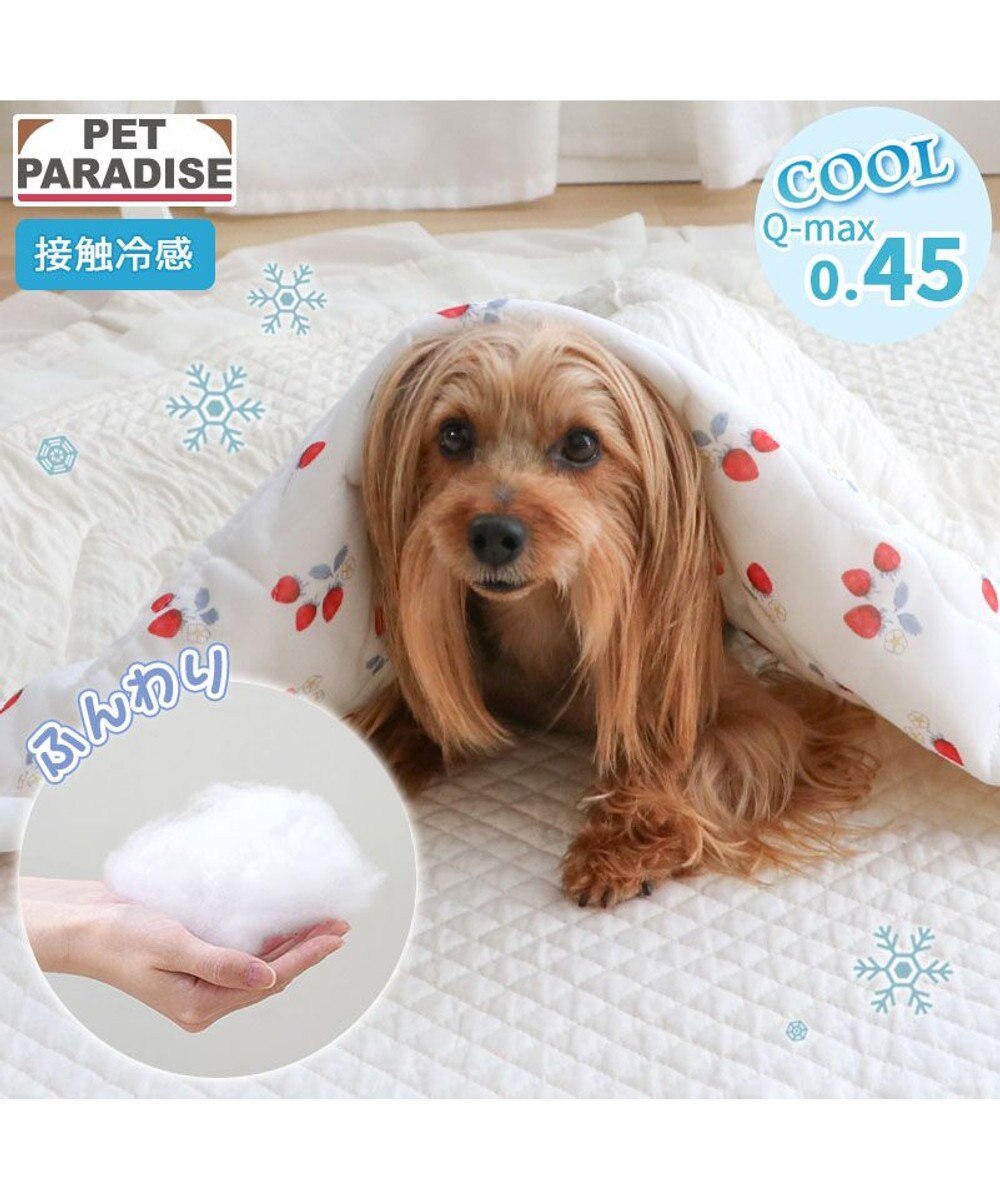 PET PARADISE ペットパラダイス もちっと クール ブランケット 《苺柄》 