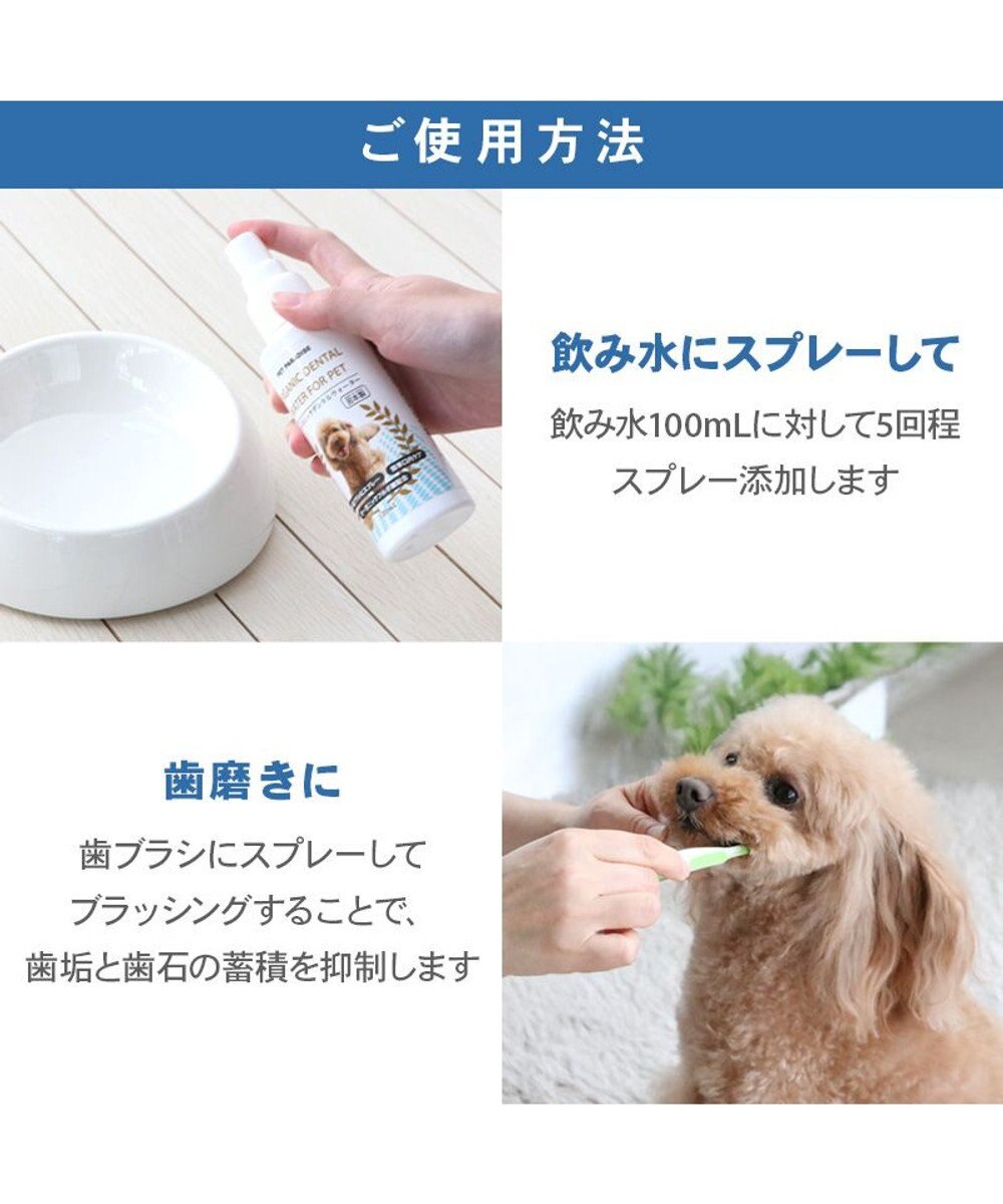 PET PARADISE オーガニック デンタルウォーター（犬・猫用） 120ｍＬ 
