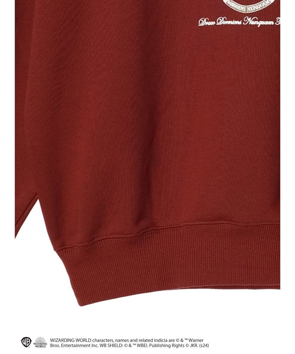 Green Parks ハリーポッター／裏毛ロゴフーディー 