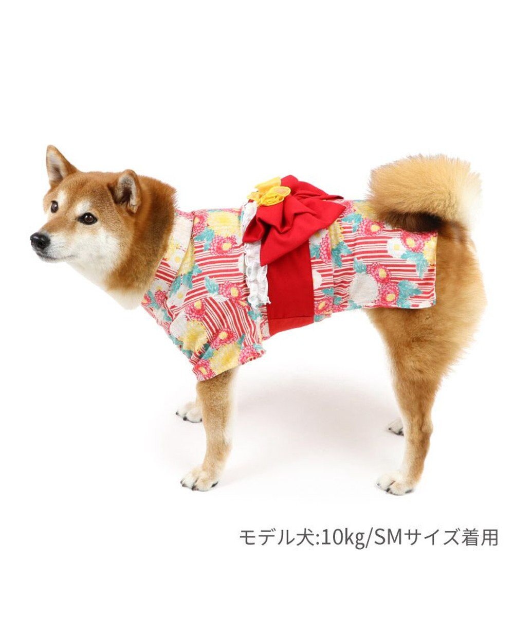 PET PARADISE ペットパラダイス 浴衣 《菊柄》  中型犬 大型犬 