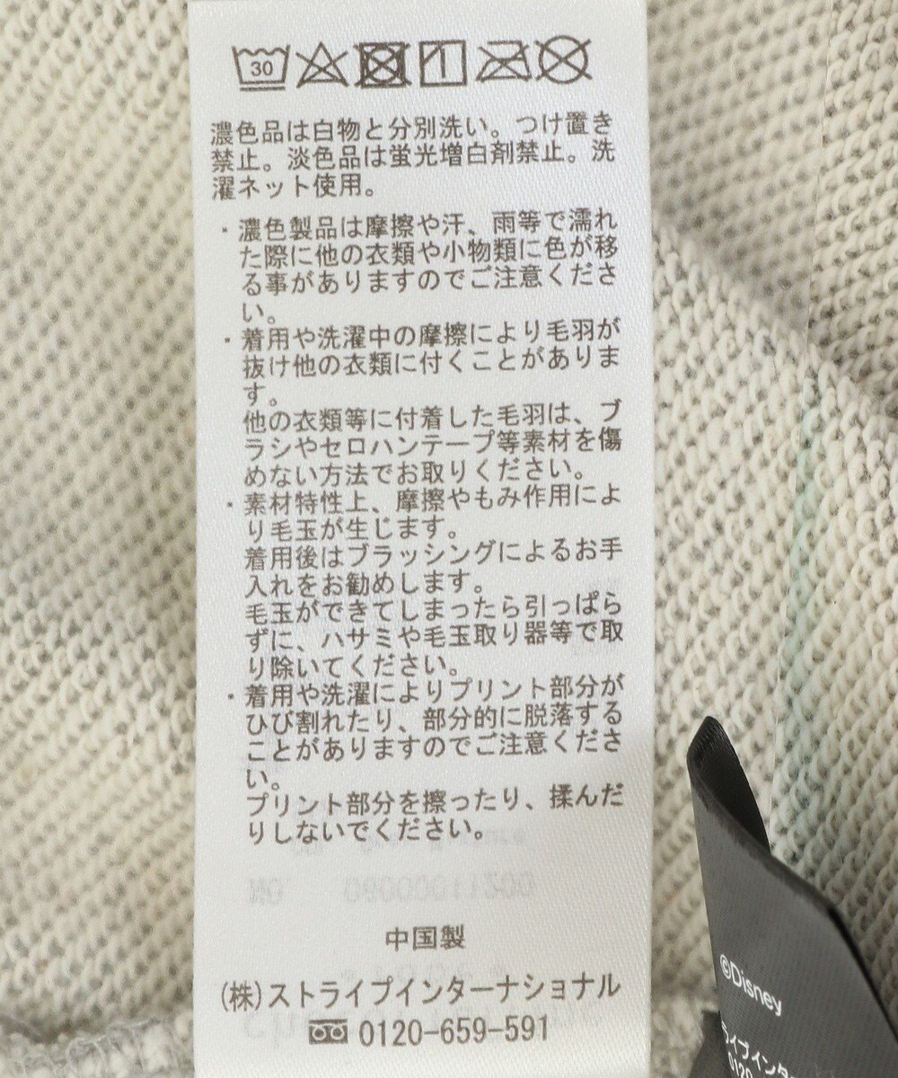 Green Parks １０ｔｈベイマックス／ランダムロゴプルオーバー 