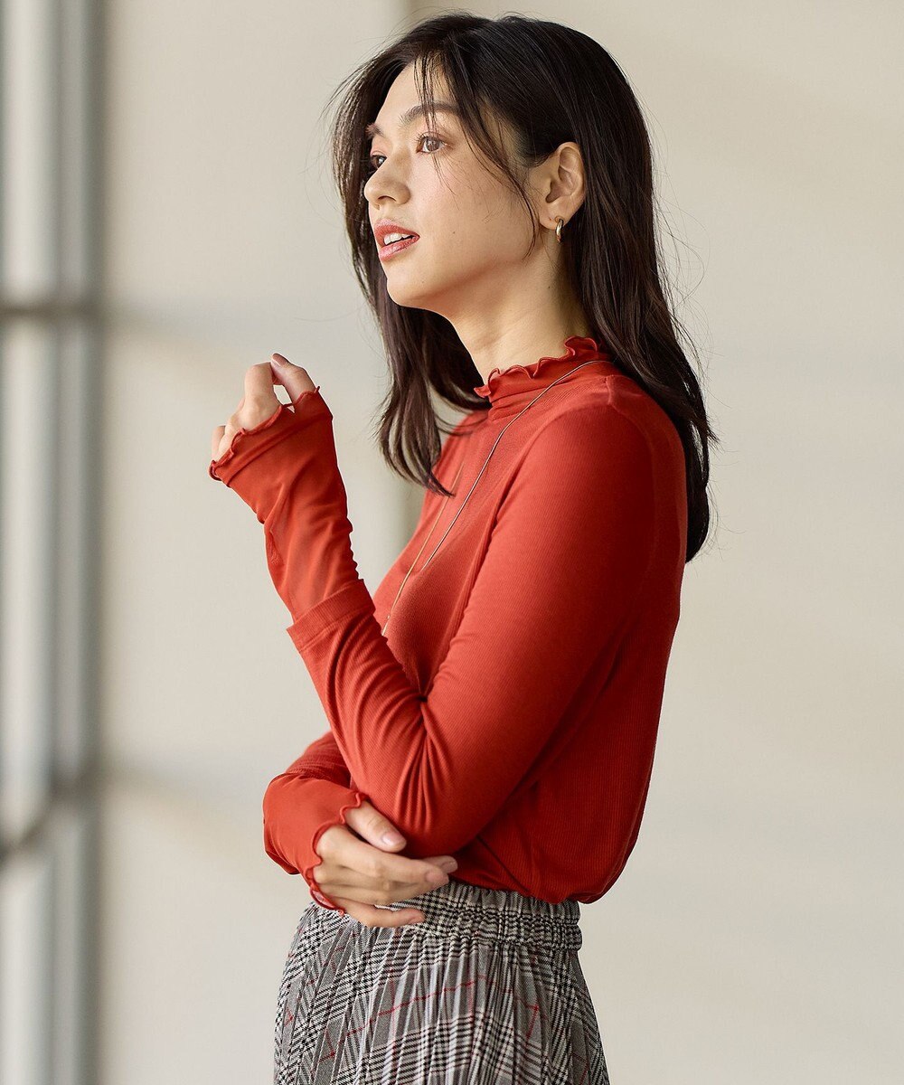 ANY L 【新色追加】シアーコンビタートル 