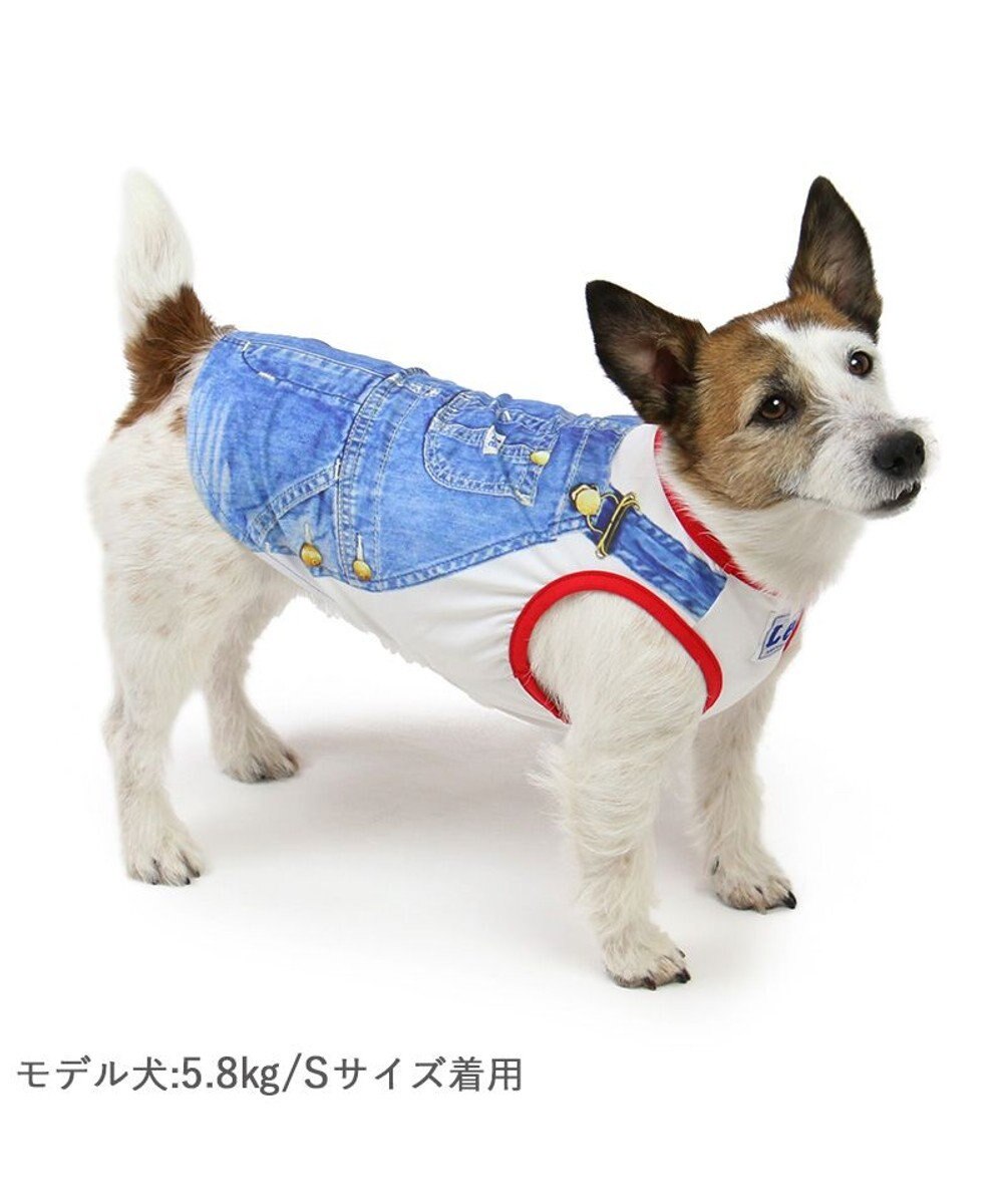 PET PARADISE Ｌｅｅ エコメイド 天竺 タンクトップ 《転写プリント》小型犬 