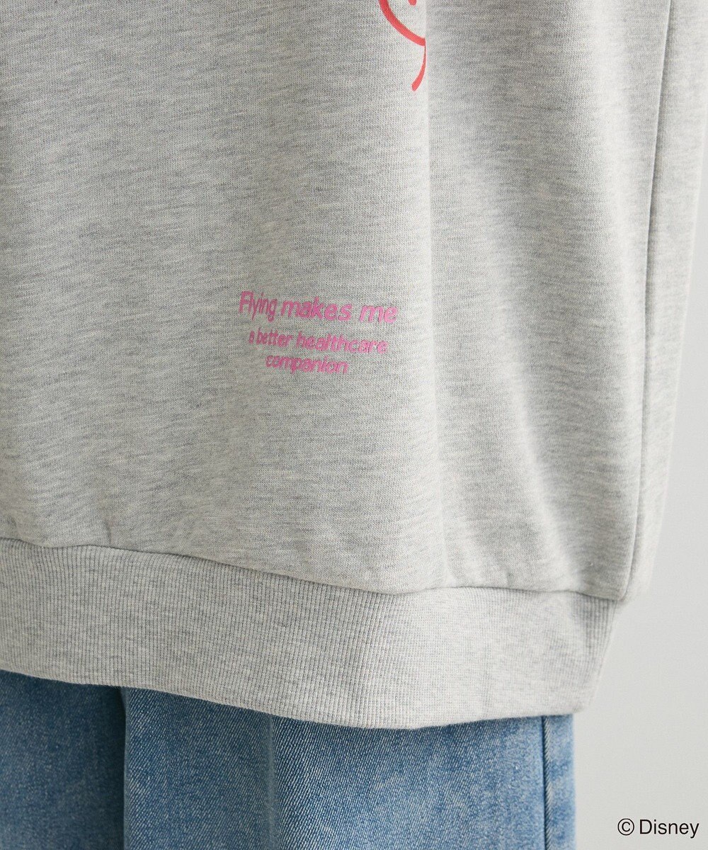 Green Parks １０ｔｈベイマックス／ランダムロゴプルオーバー 