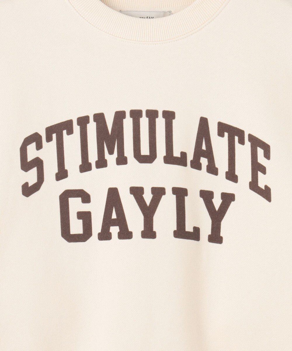 ANY 【洗濯機可】裏起毛スウェットロゴプルオーバー 