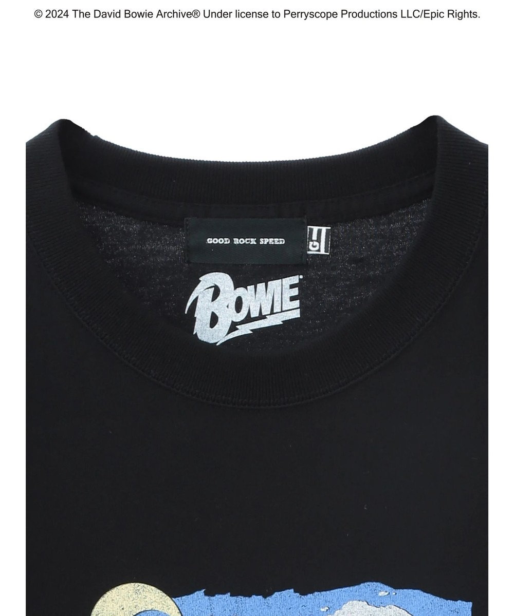 Green Parks ■Ｄａｖｉｄ　Ｂｏｗｉｅ　ＴＯＵＲ　ＴＥＥ 