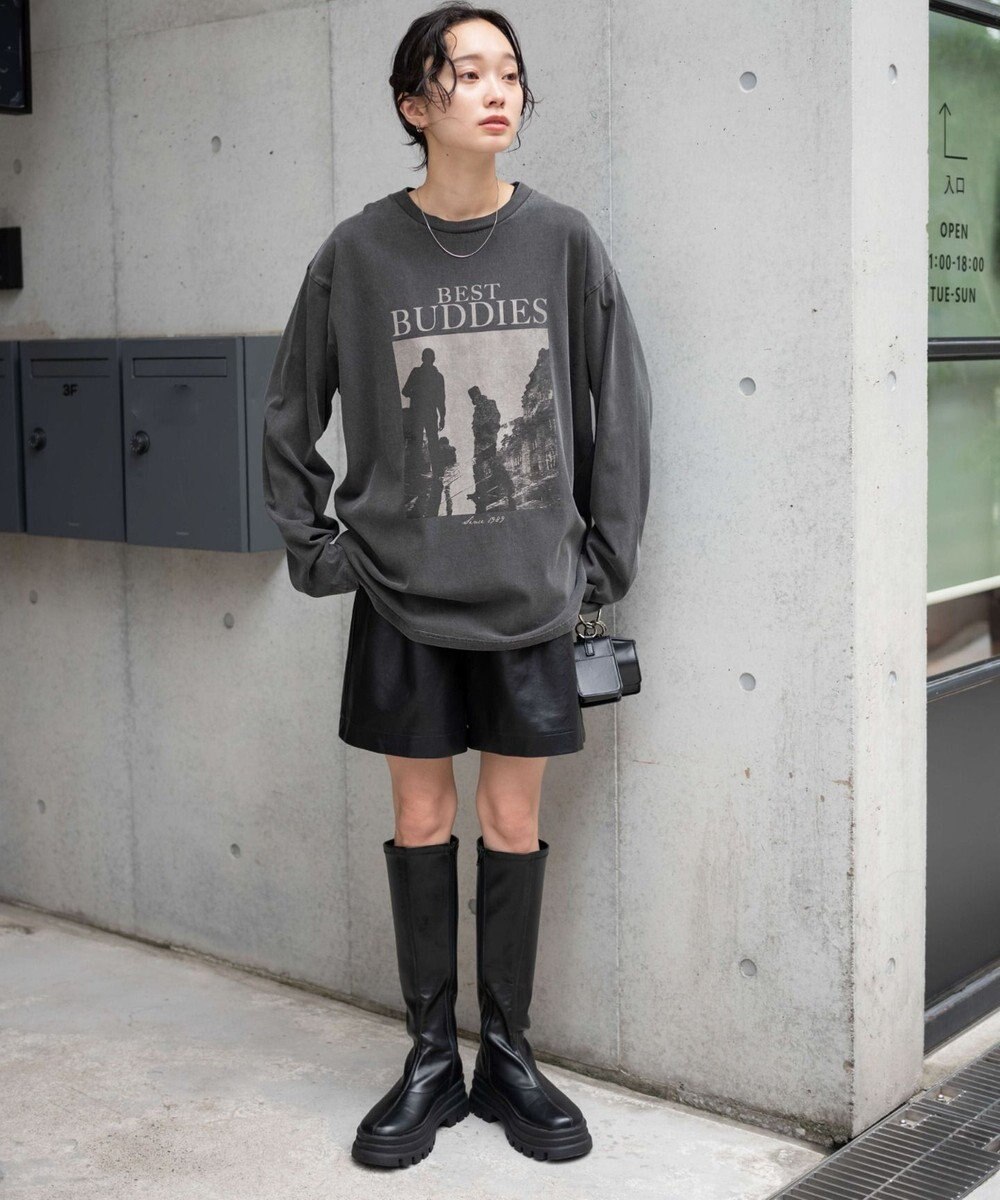 WEGO ピグメントロンT 