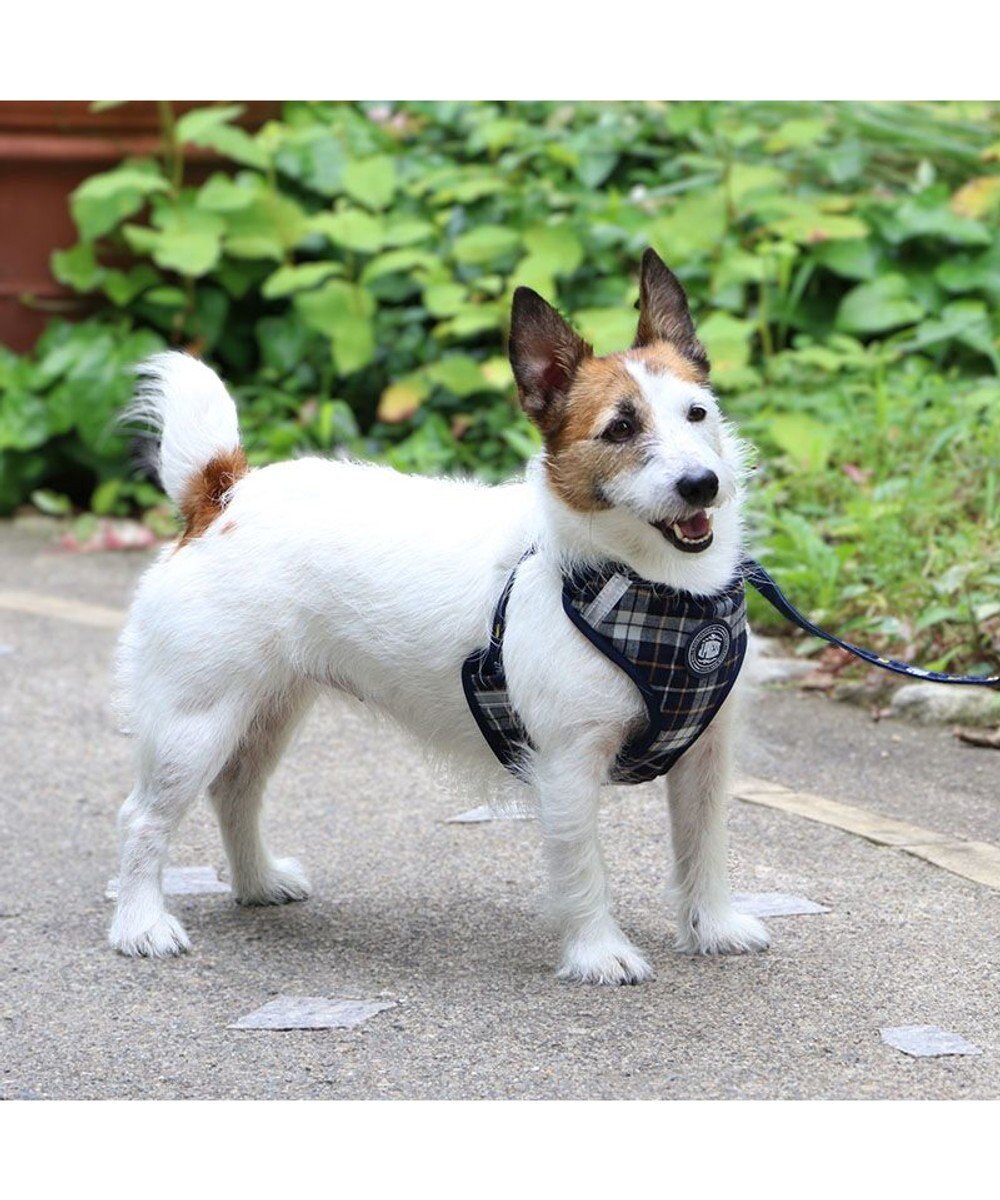 PET PARADISE J.PRESS ビエラチェック ハーネス リード【ＳＳ】小型犬 