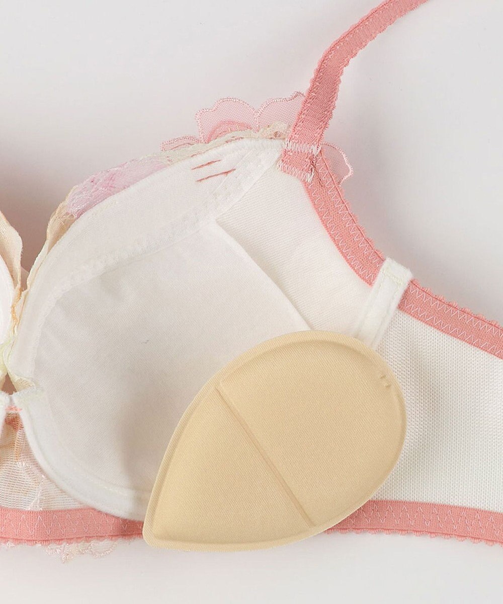 Wing ブラジャー Wing Lesiage サイドすっきり しっかりフィット 【2900シリーズ】 ブラ PB2900 ウイング／ワコール 